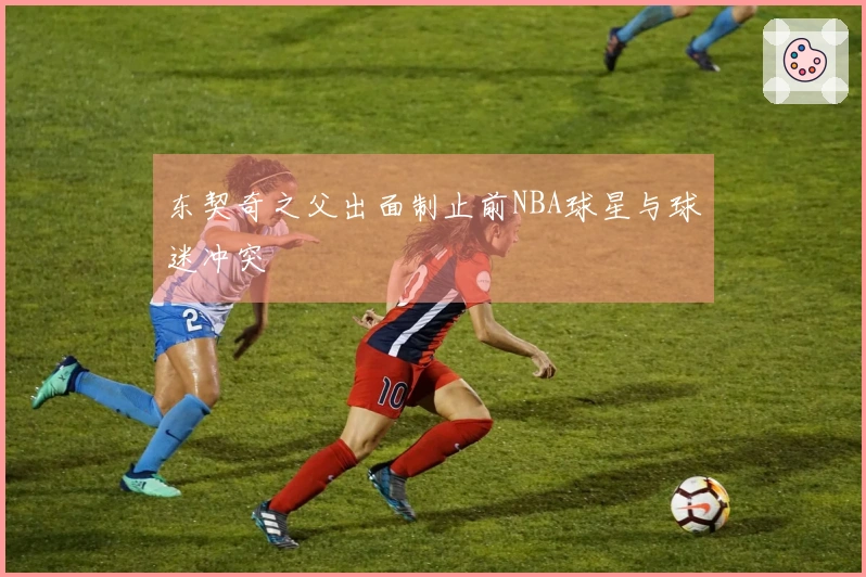 东契奇之父出面制止前NBA球星与球迷冲突